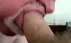 Daddy Bear Sucking Cock