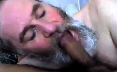 Bearded Daddy Suck And Swallow